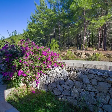 Infinity Lake Side Villa Dalaman
